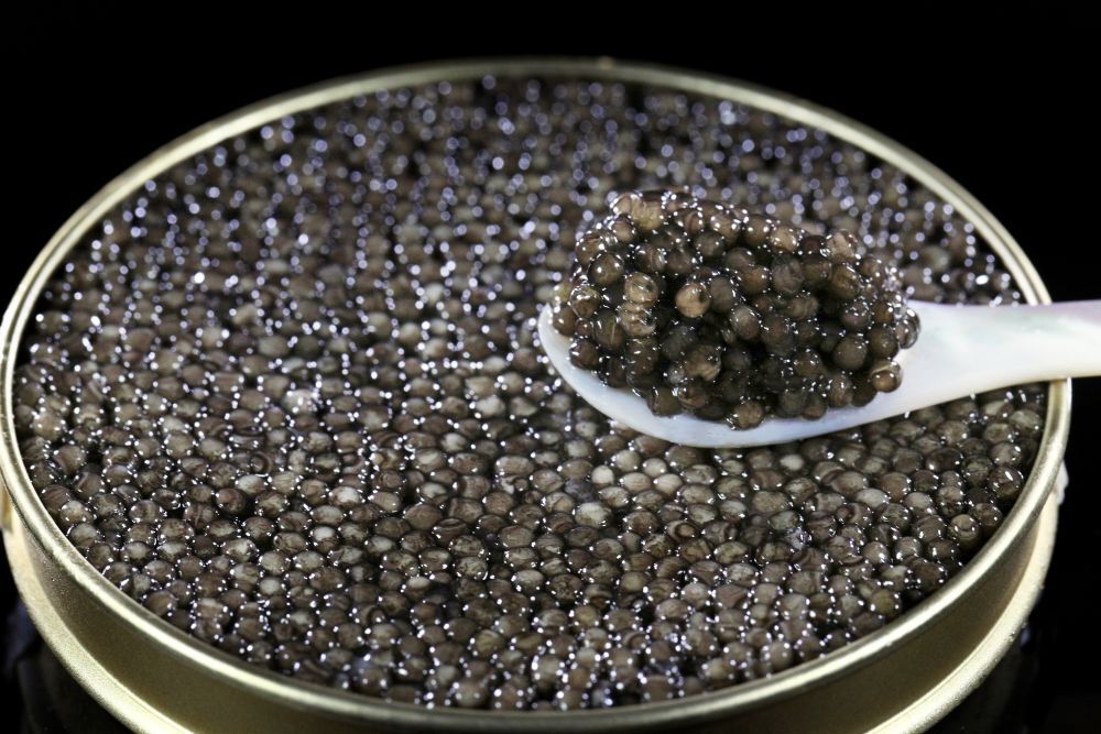 Caviar Francais
